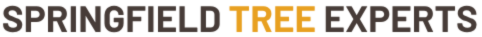 treeremovalinspringfield.com
